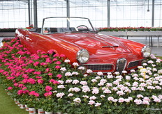 En deze editie stond het er weer bijzonder mooi bij.